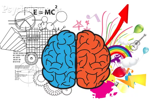 Schéma d'un cerveau avec ses composantes "intellect" et ses composantes "émotions", par OoyoO